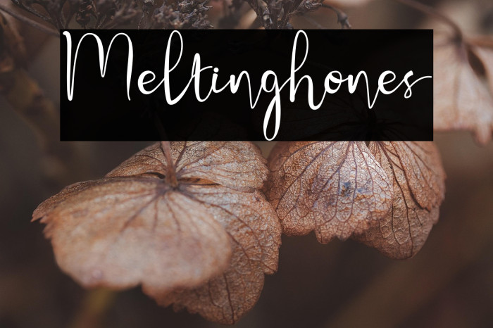 Meltinghones Example 1