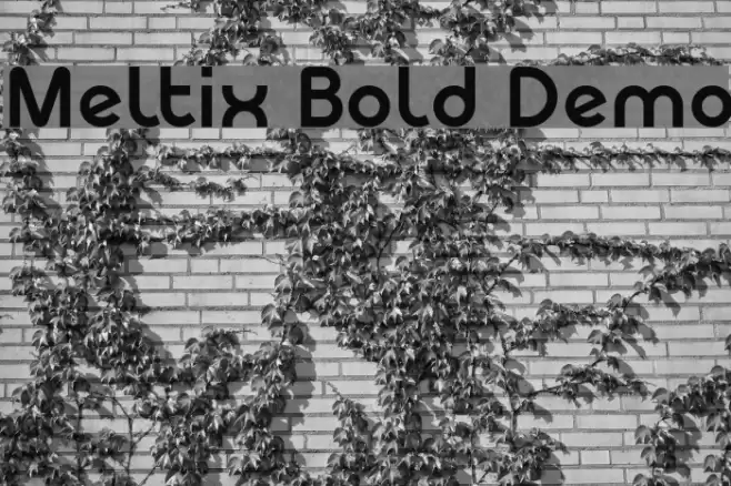 Meltix Bold Demo Font examples