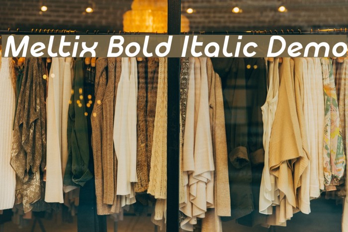 Meltix Bold Italic Demo Font examples