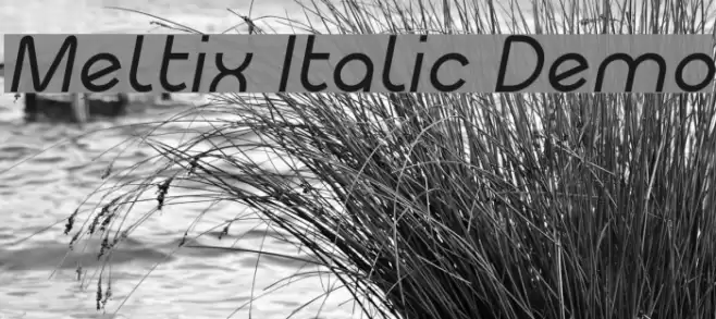 Meltix Italic Demo Font examples