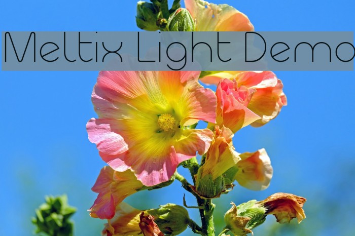 Meltix Light Demo Font examples