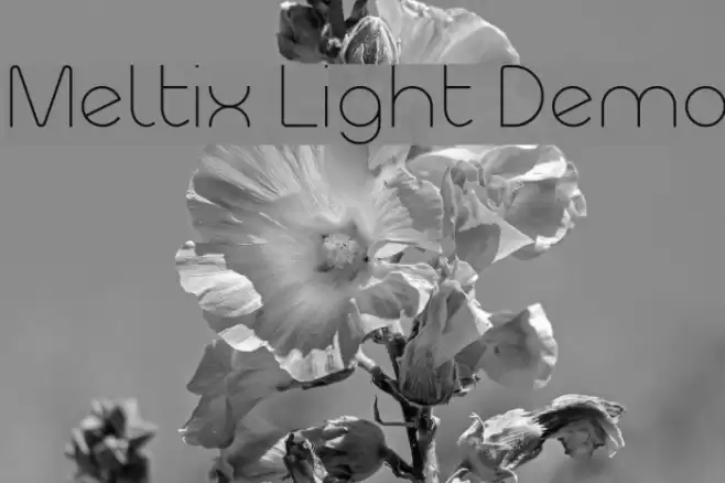 Meltix Light Demo Font examples
