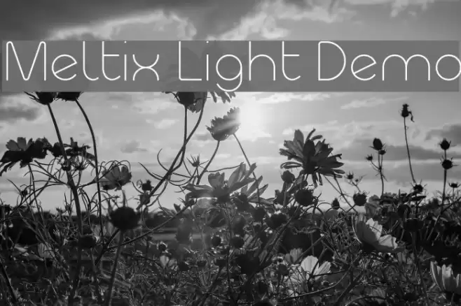 Meltix Light Demo Font examples