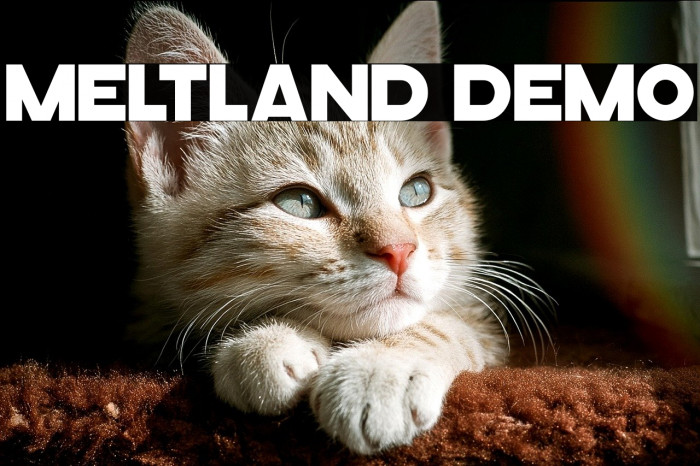 Meltland Demo Example 1