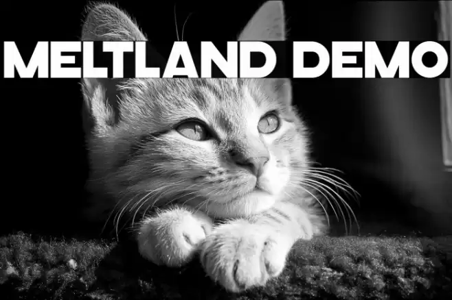 Meltland Demo Font examples