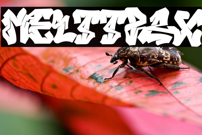 Melttrax Font examples