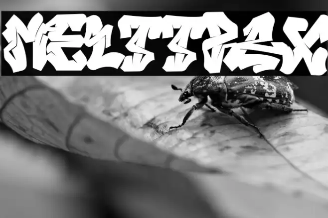 Melttrax Example 1