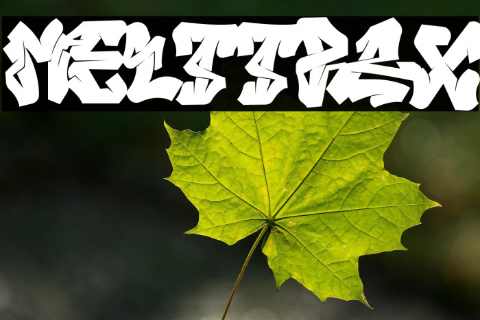 Melttrax Font examples