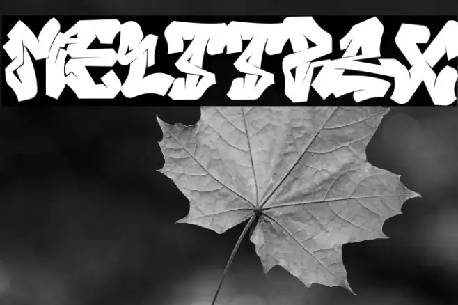 Melttrax Example 3