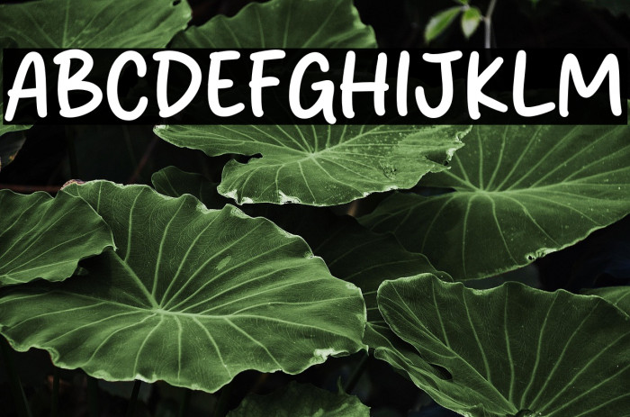 Melty Cake Example 2