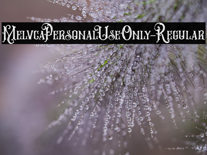 MelvcaPersonalUseOnly-Regular Example 3