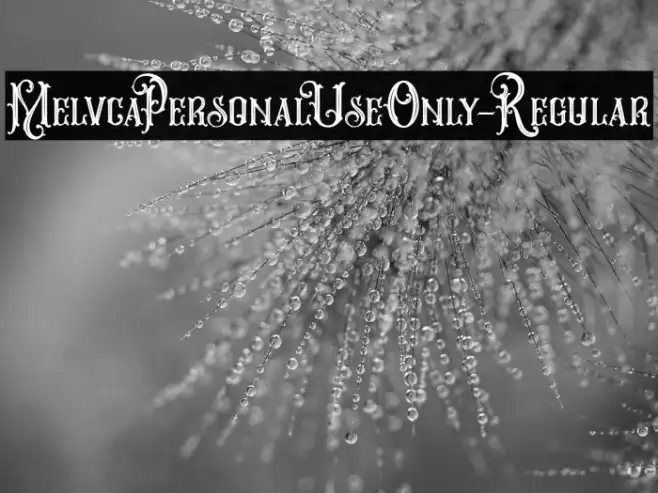 MelvcaPersonalUseOnly-Regular Example 3
