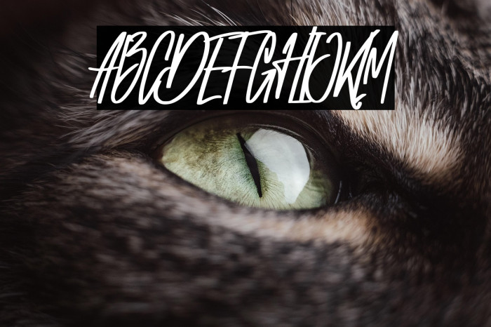 Melvina Wayne Example 2