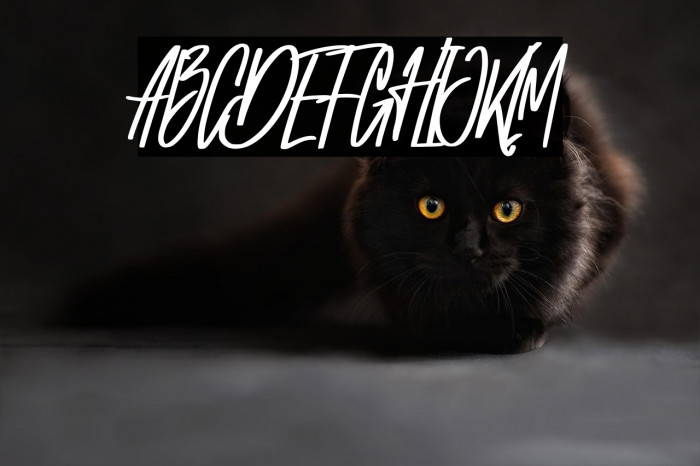 Melvina Wayne Example 3