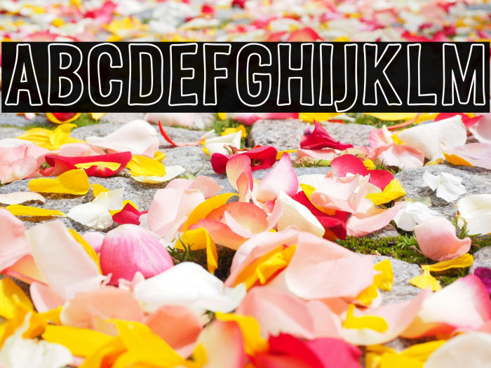 MelvisFree-Outline Example 1