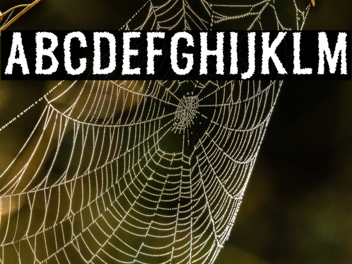 MelvisFree-Rough Example 2