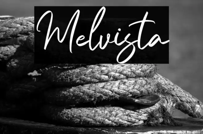 Melvista Example 2