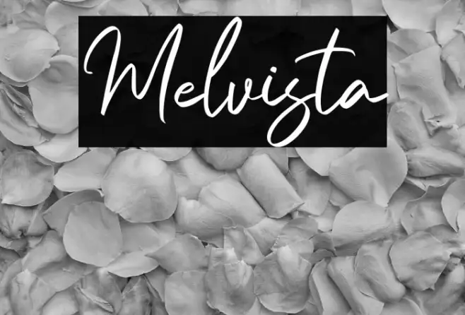 Melvista Example 3