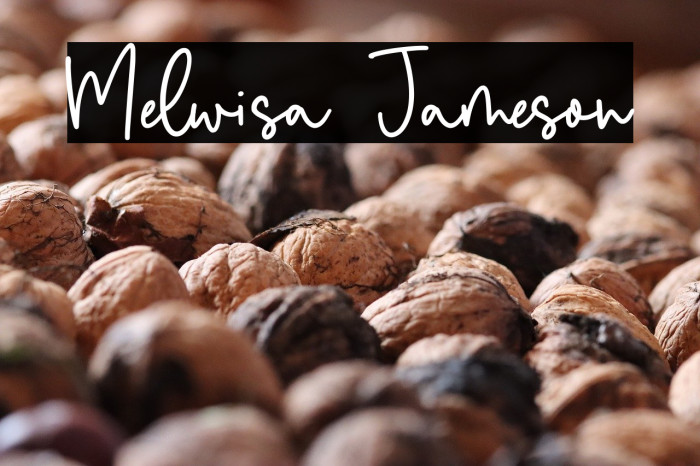 Melwisa Jameson Example 2