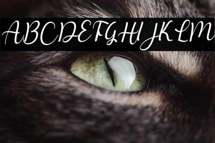 Melya Italic Example 1