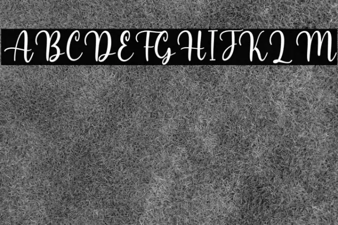 Melyna Font examples