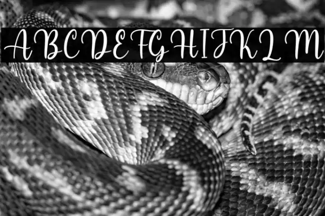 Melyna Font examples