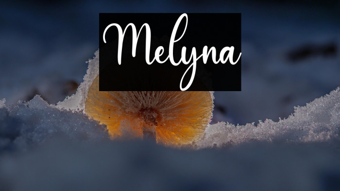 Melyna Example 2