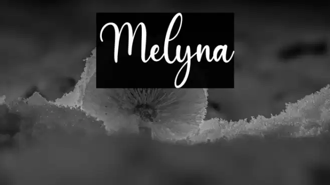 Melyna Font examples