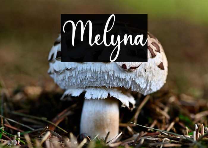 Melyna Example 3