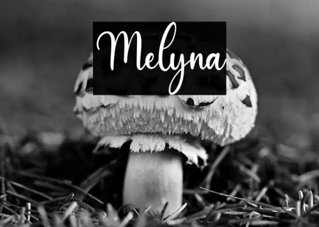 Melyna Font examples
