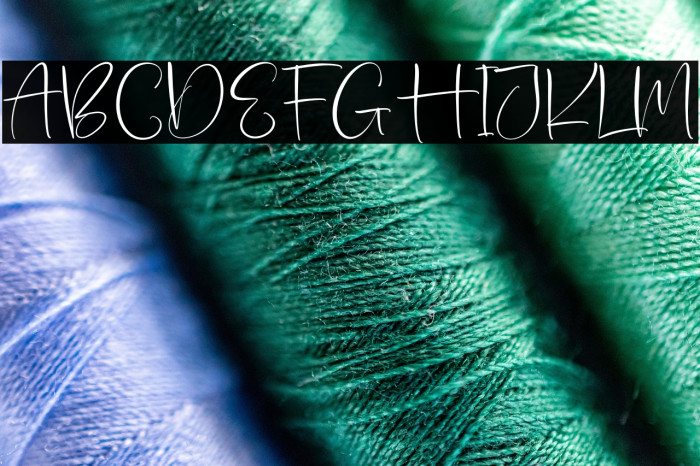 Member December Fonte examples