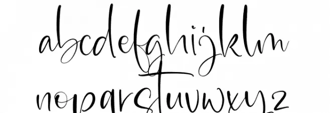 Member December 字体 小写