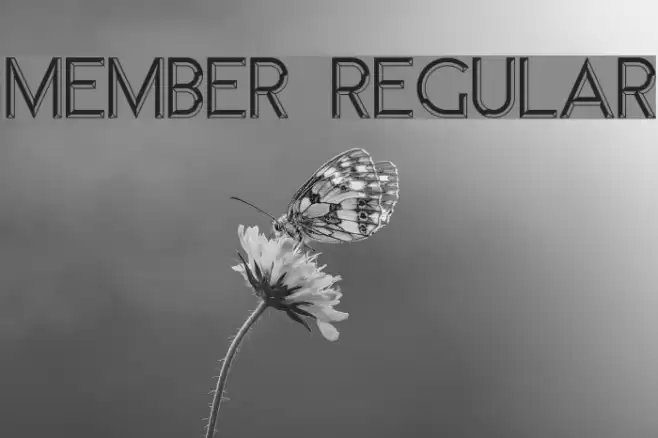 Member Regular Font examples