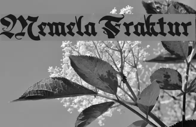 Memela Fraktur Fuentes examples