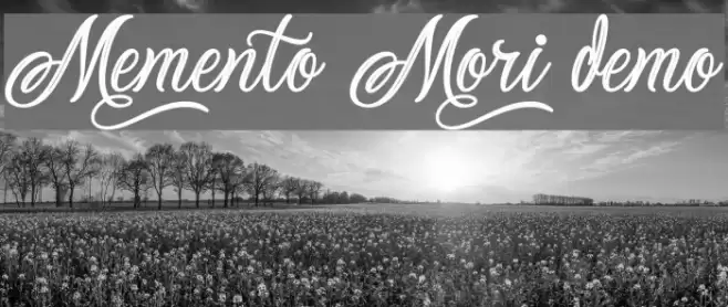 Memento Mori Demo Font examples