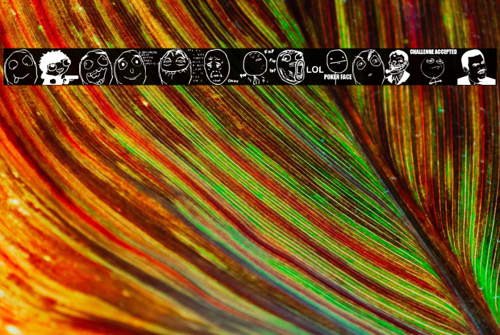 Memes by jopea302 Example 2