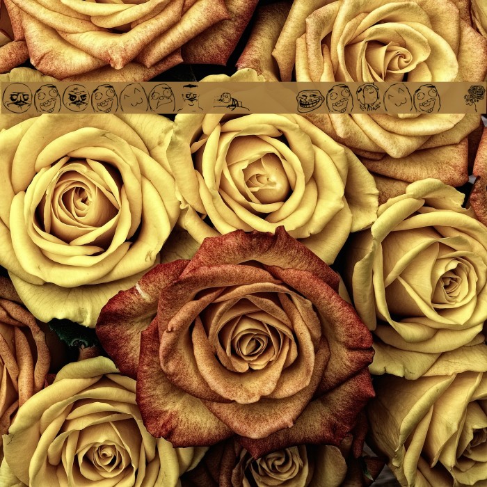 Memetica - Teste 1 Example 1