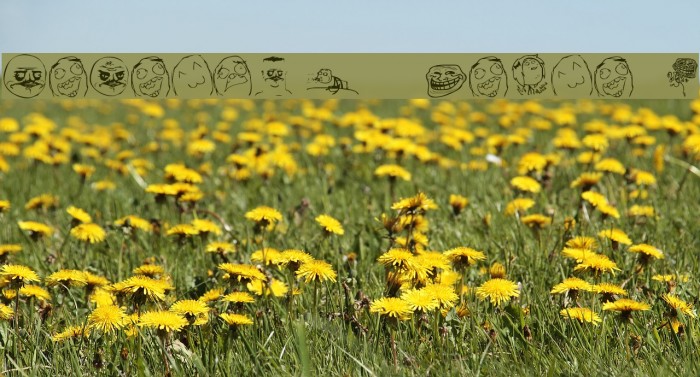 Memetica - Teste 1 Example 2