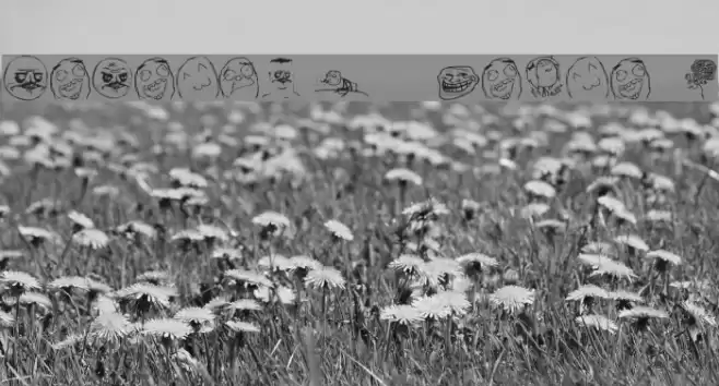 Memetica - Teste 1 Font examples