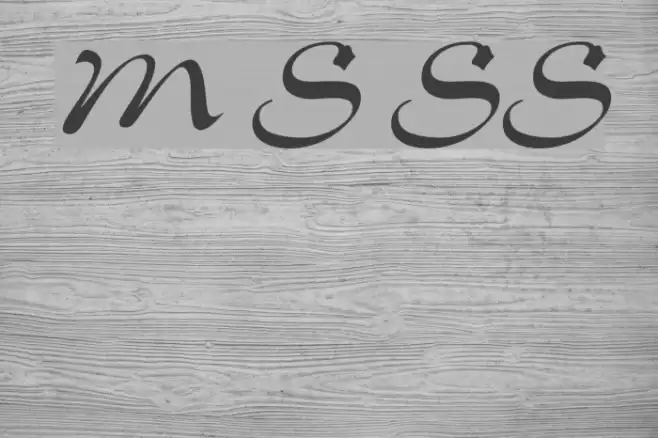 Memo Script SSi Font examples