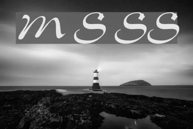 Memo Script SSi Font examples