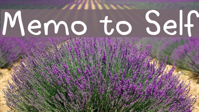 Memo to Self Example 1