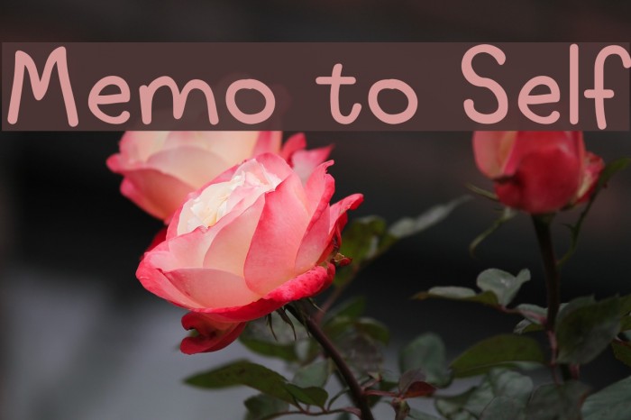 Memo to Self Example 3