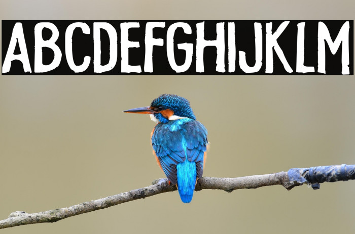 Memorial Lane Example 3