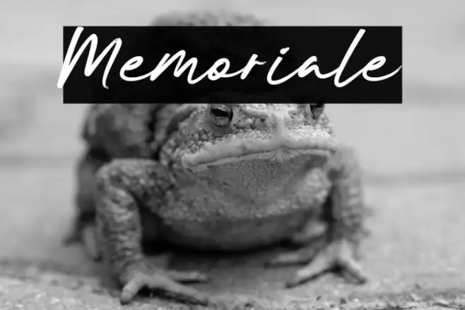 Memoriale Example 3