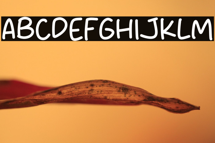 Memories Note Example 3