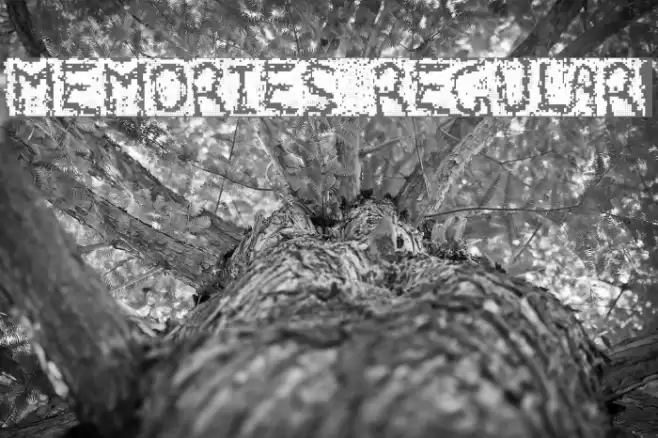 Memories Regular Font examples