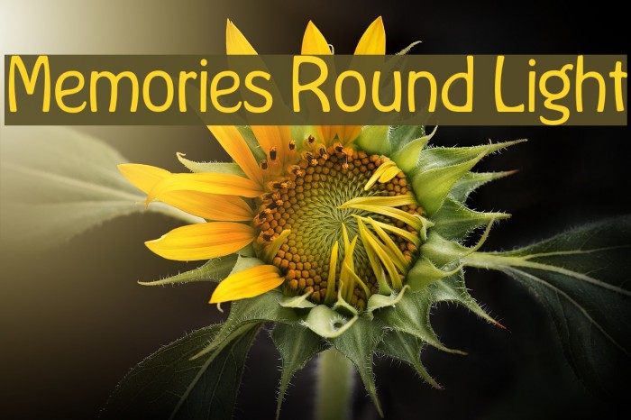 Memories Round Light Font examples