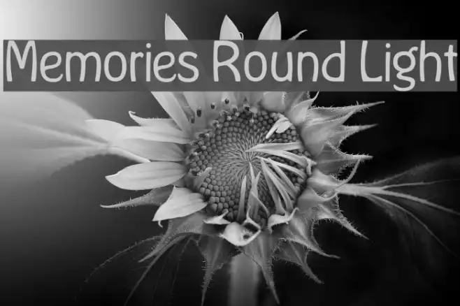 Memories Round Light Example 1