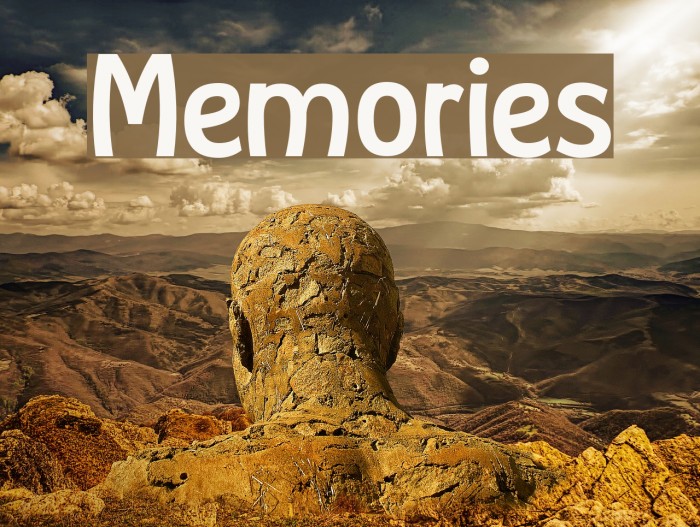 Memories examples